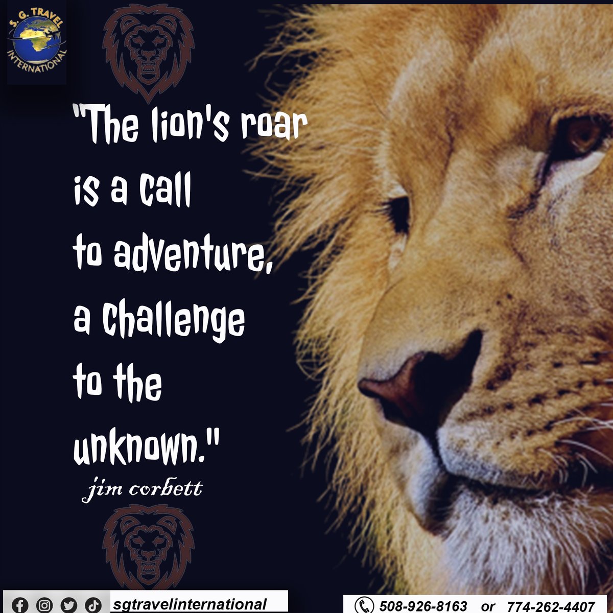 GlobalNomad0's tweet photo. Rise and shine, it's time to discover the beauty and adventure of #Africa . Let's make today unforgettable.
#tour #Africa #travelphotography #africanedition #Trending #NigeriaElections2023 #tropicthunder #Cammy #SuicideSquad #Sabbath #Waters #BREAKING https://t.co/Zcn1ar7ict