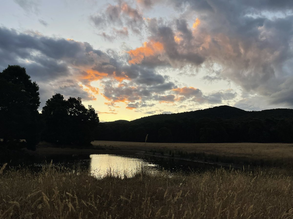 Tonight’s amazing sunset reflecting on dam in back paddock ❤️🧡💛
