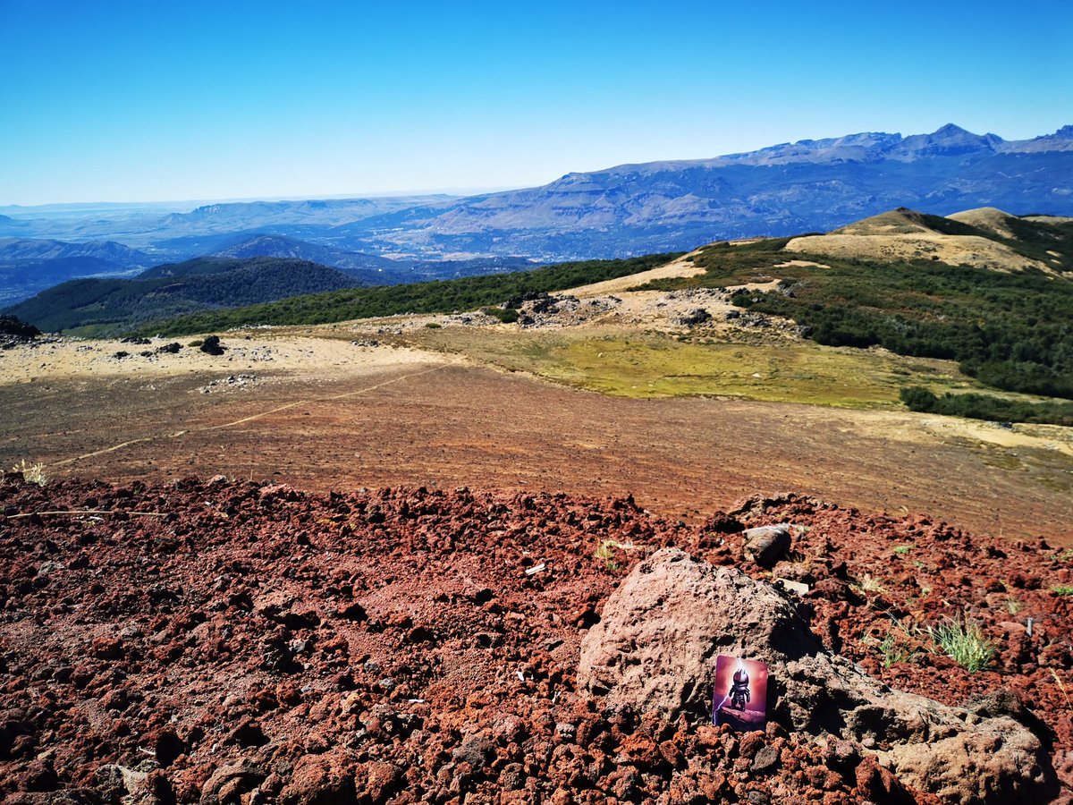 MistermaxXx 🟥⚔️ tweet media