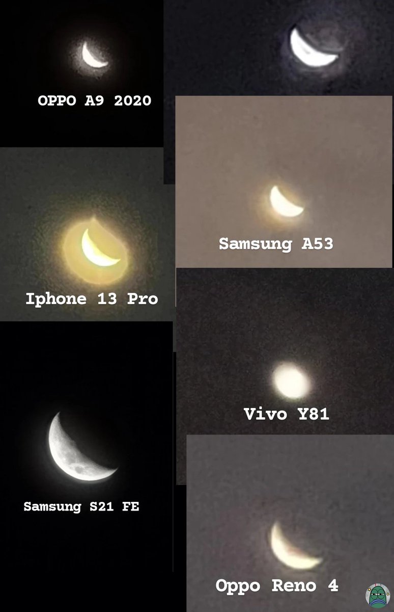 Tanyarlfes tweet media