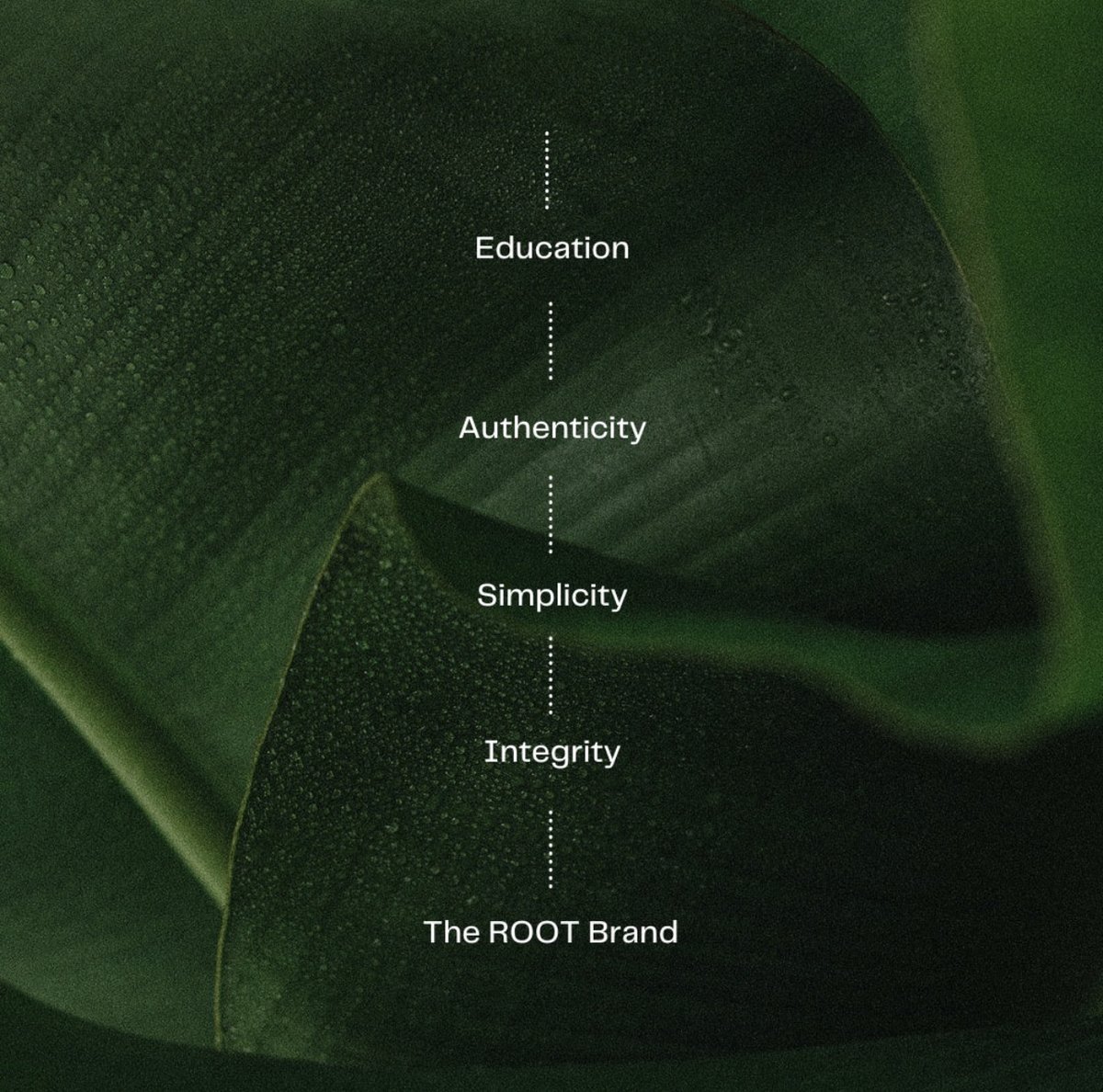 _Rootlium_'s tweet image. We came together to bring the best-in-class, superior products based on these principles

 #TheRootBrand #gettotheroot #organic #vegan #glutenfree #health #allnatural #nature #vitamins #healthylifestyle #intentional #purpose #goals #wellness #detox #detoxing #zeolite #cleanslate
