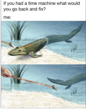 OSINT MEME on Twitter: