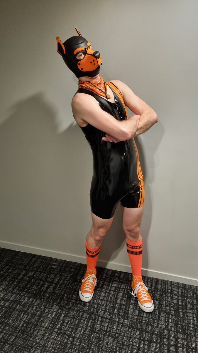 Hammy (@PupHammy) / Posts / X