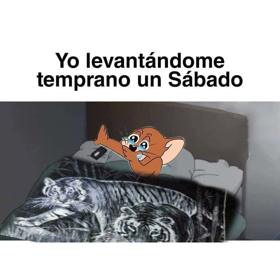sopitas's tweet photo. ¿Quién más anda así? 😅 https://t.co/zff0Y5iTbV