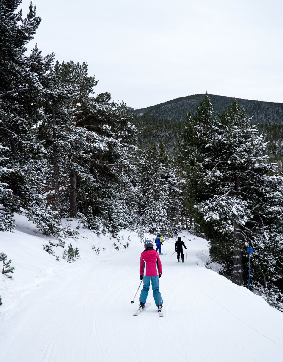 AramonCerler's tweet photo. ¡Que paisaje nos ha dejado la nevada! ❄️❤️
#cerler #cerlerenamora #diazo #expertosendiversión #snowday #powday #powdays #snowlover #snowmountain #skiing #snowboarding https://t.co/hBN5V8WZfT