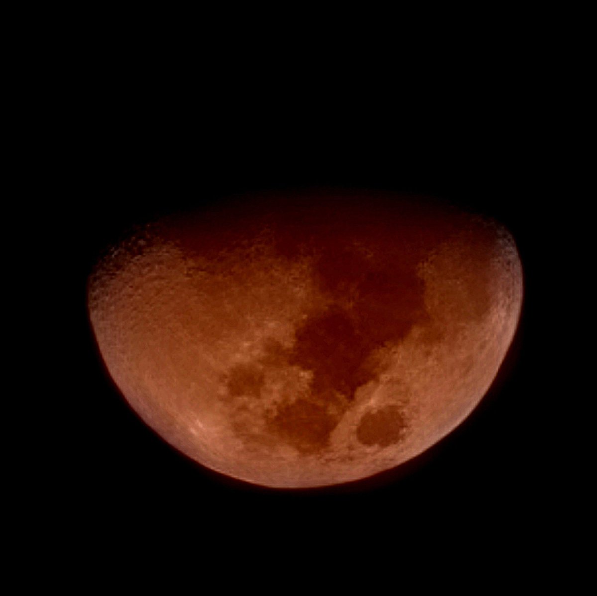 Rajatkumar_sol's tweet photo. Captured #withGalaxy
The Blood Moon
I know this
would've been a lot clearer with the Galaxy S23.
#VerySoon
#LoveForS #ShareTheEpic #SamsungMembers #Samsung
#Nightography
@SamsungIndia https://t.co/FsTlI8knRA
