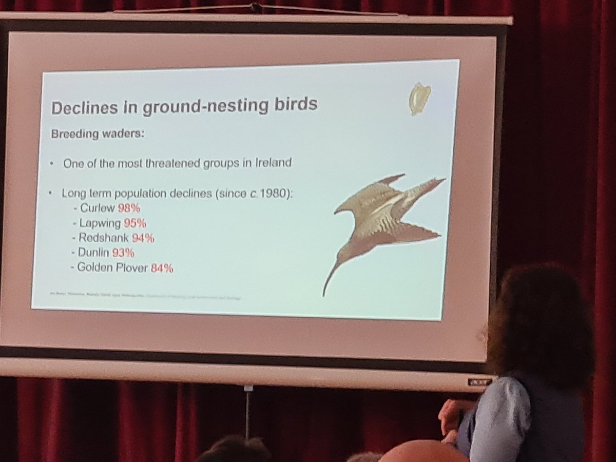 Stark statistics on the decline of ground nesting birds in Ireland @npwsBioData @BirdWatchIE @NARGC11 @noonan_malcolm @MarianHarkin @DenisNaughten @AislingDSenator @BordnaMona @DeptHousingIRL @Dept_ECC @D_Scallan @davidfallon8 #SDGsIRL #ClimateTargets @HeritageHubIRE @jfmleech