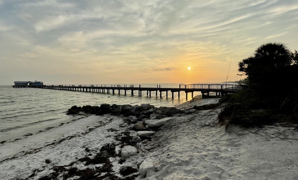 Island Unique tweet media