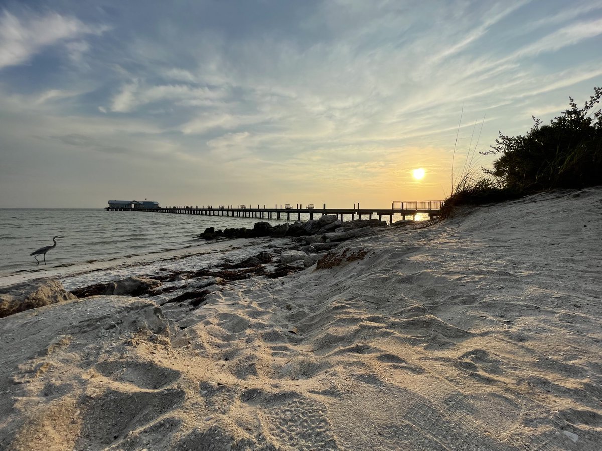 Island Unique tweet media