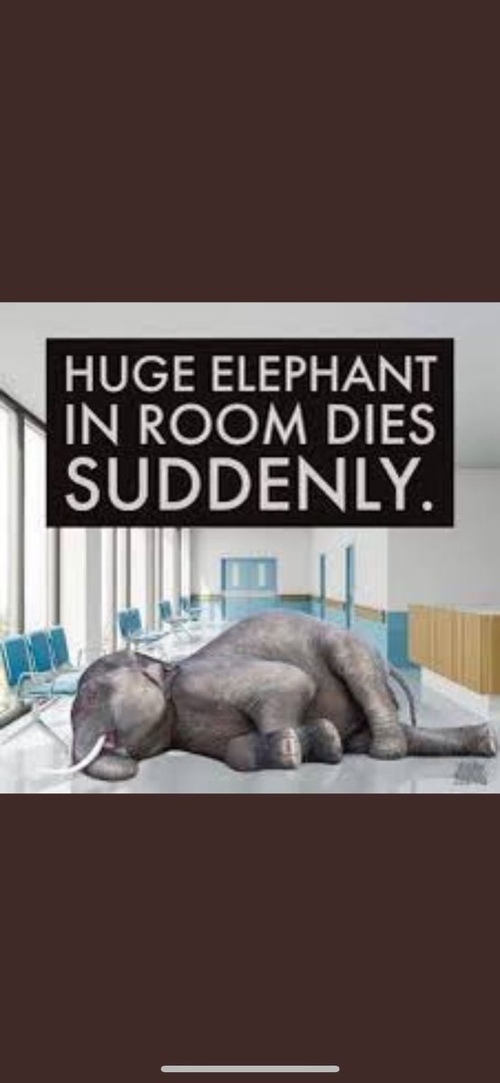 Andrew Bridgen tweet media