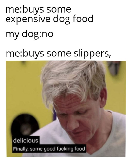 WholesomeMeme's tweet photo. https://t.co/PMSh4fAgB8