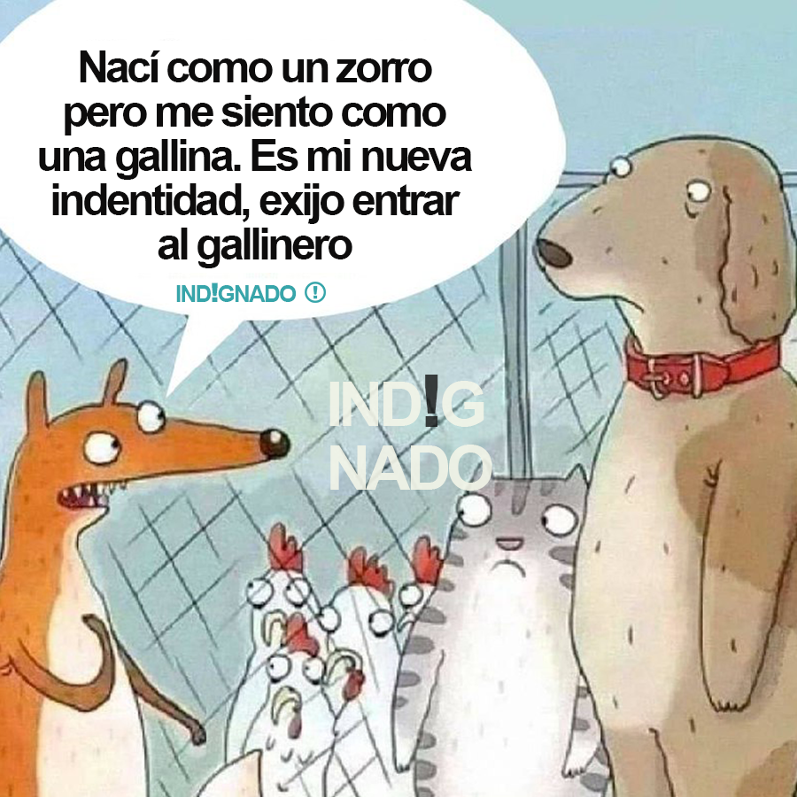 indignadoxd's tweet photo. Gracias: @DEBORAHKAHAN1 https://t.co/AWZCnTM0h9