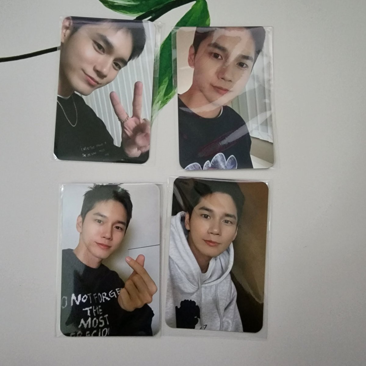 WNO_ONGSW's tweet photo. 참스 포카교환구해요!

왼쪽에 있는 포카로 오른쪽에 있는 포카에 없는거 구해요!!

원하시면 두장 다 드릴 수 있습니다 https://t.co/Cq68XGM1qp