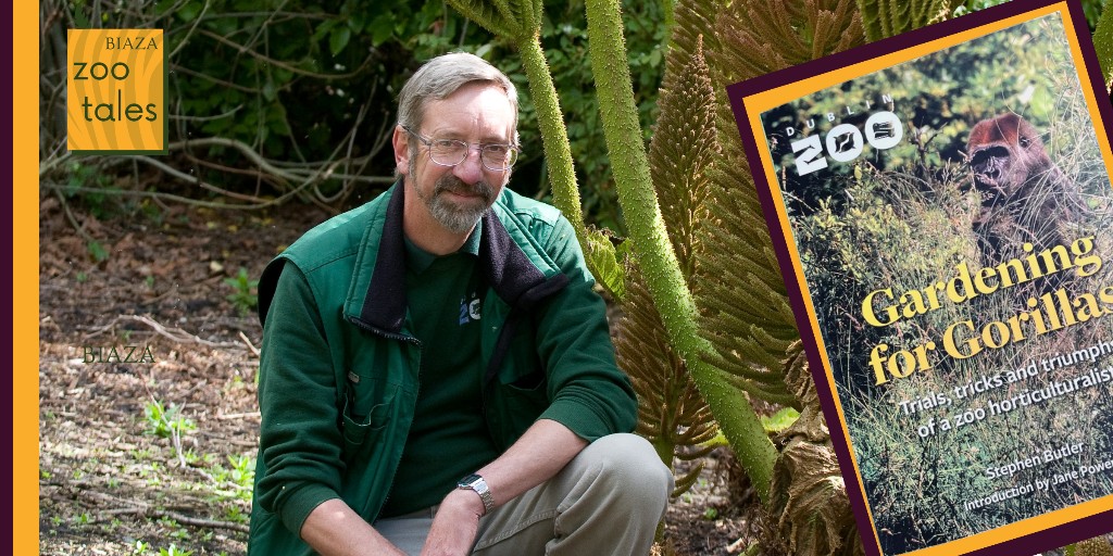 🌱🦍 'There is, to my knowledge, no other book that details planting with zoo animals and the unique challenges presented.'

Stephen Butler , Horticulturalist of <a href="/DublinZoo/">Dublin Zoo</a>, on his book - Gardening for Gorillas 👇

biaza.org.uk/news/detail/zo…

#BIAZAZooTales
