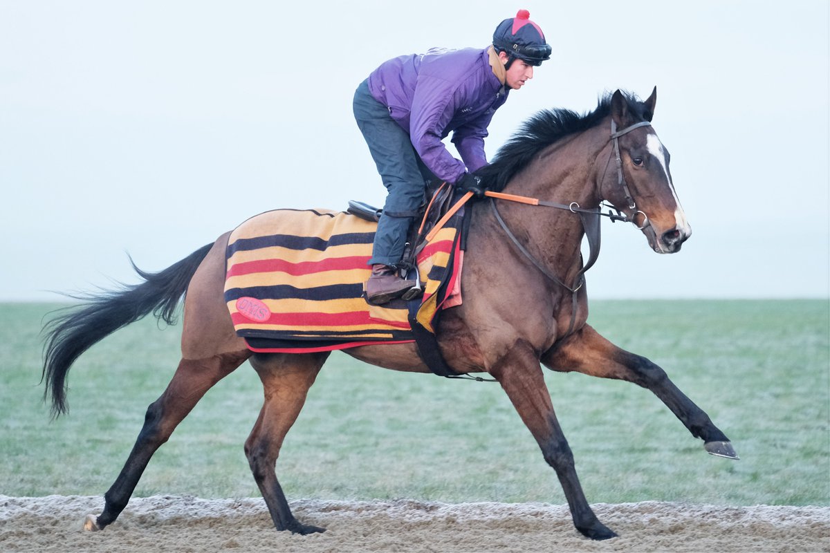 SimcockRacing's tweet photo. FORGE VALLEY LAD 🌟WINS🌟(6yo g Cityscape GB - Tamara GB) the 1m4f Handicap @LingfieldPark under @JPSPENCER1980 for A M PICKERING & @SimcockRacing #AlBasti #AlBastiEquiworldDubai https://t.co/hH2QdsYJpI