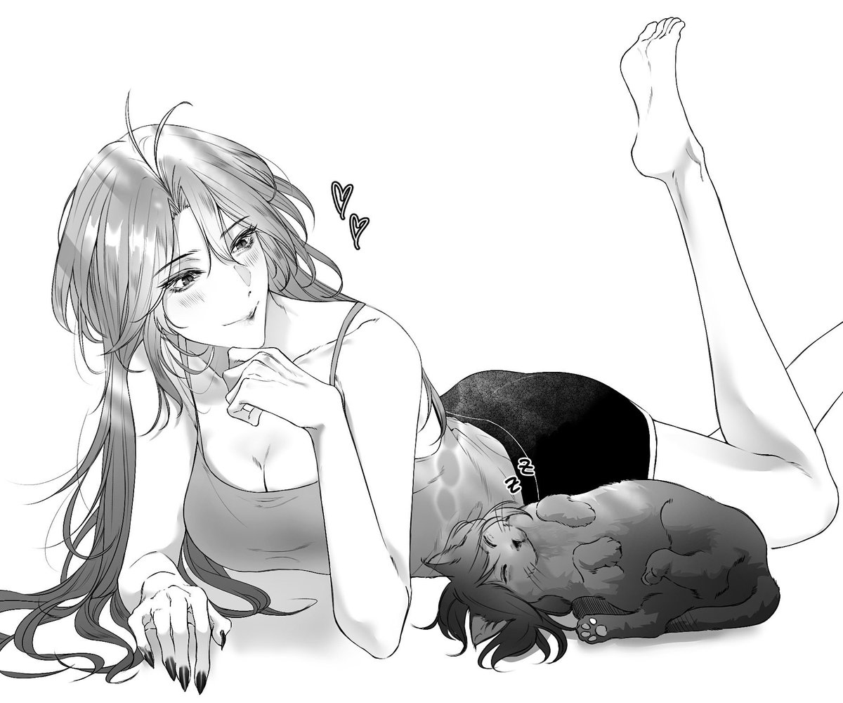 첼시국냥이