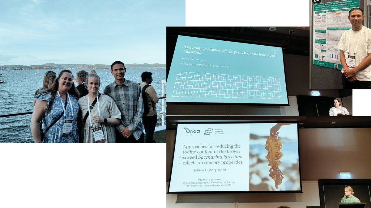 BioRef (@bioref_nmbu) on Twitter photo Diego, Nanna and Johanna from BioRef at the 2023 International Seaweed Symposium in Tasmania. Great contributions with 2 talks and one poster! Diego, Nanna and Johanna from BioRef at the 2023 International Seaweed Symposium in Tasmania. Great contributions with 2 talks and one poster!