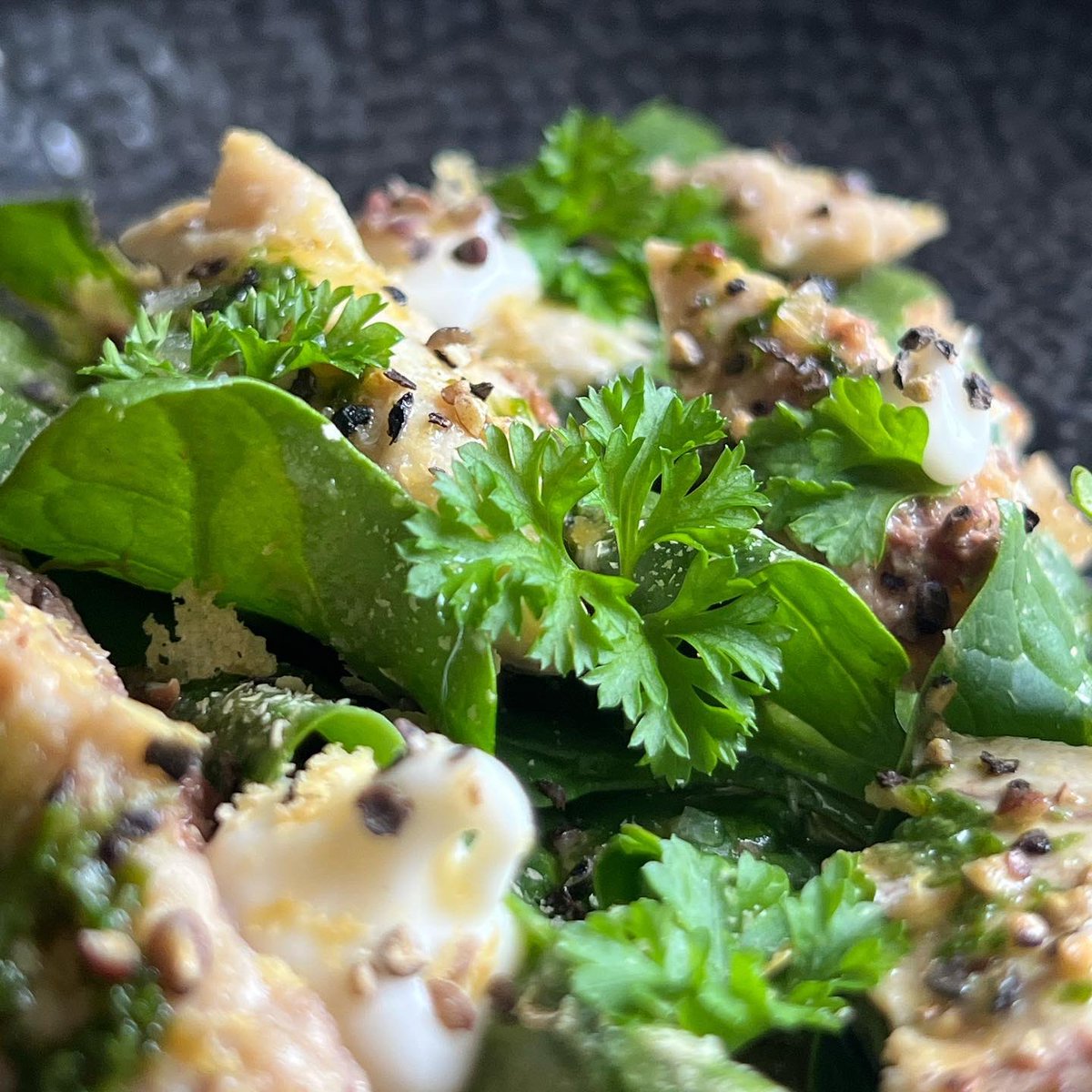 So_Into_It's tweet photo. Toast heaven right now!! 
——
Rye Bread | Chard | Mackerel | Parsley Oil | Pepper | Mayo | Nutritional Yeast | Salt 
——
#foodie #foodblogger #foodphotography #toast #opensandwich #foodielife #mackarel #greenfood #healthyfood #nordicfood https://t.co/0XxGp7ysom