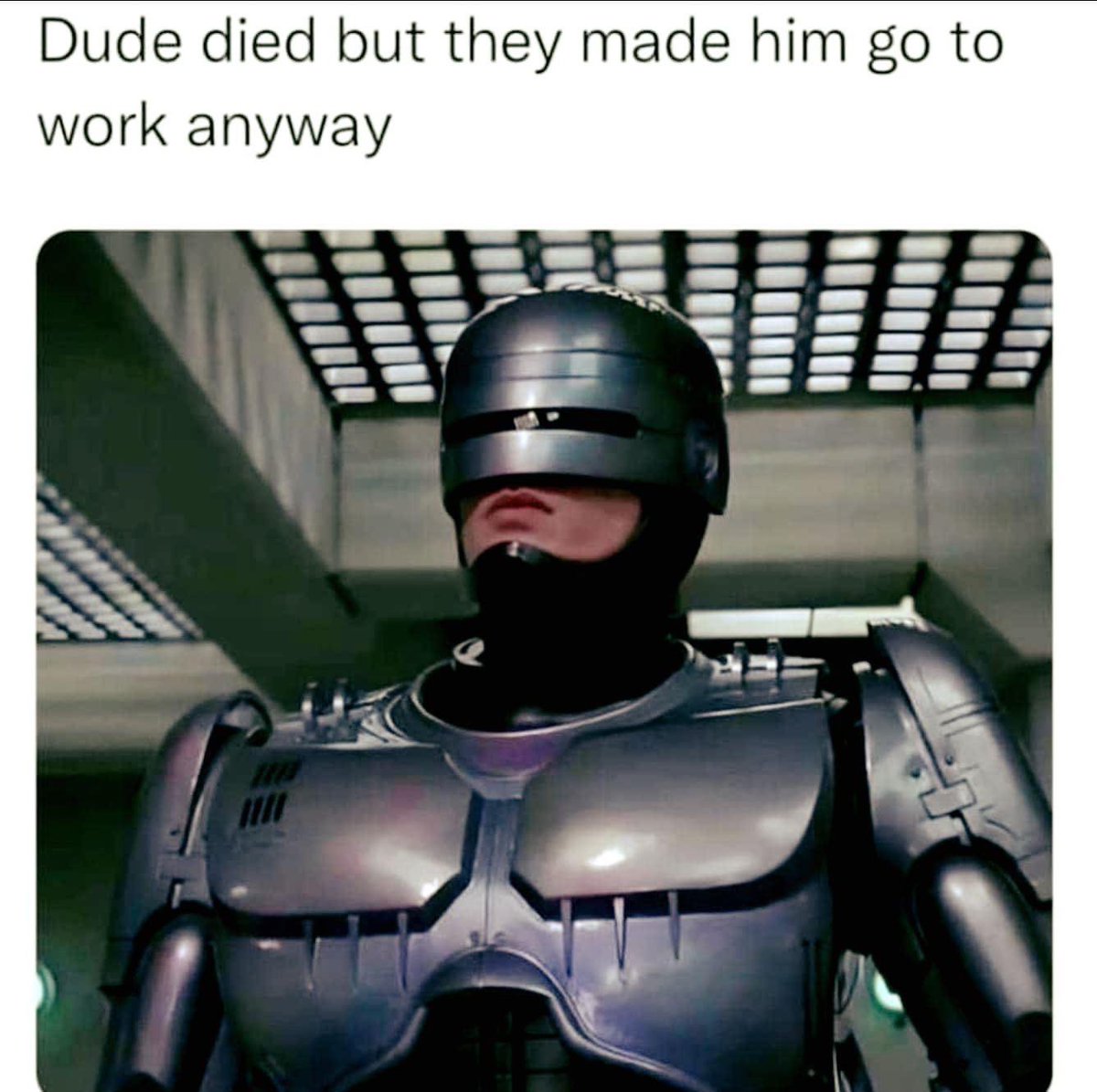 K9Caravanning's tweet image. 