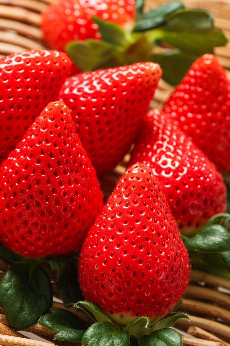 いちごは通販でも買えるそうです！

https://t.co/db1FqQVLpD https://t.co/uh3vtWDoTd