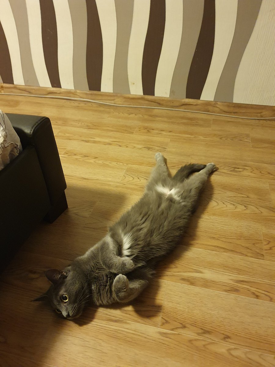 Ричард Батсбак tweet media