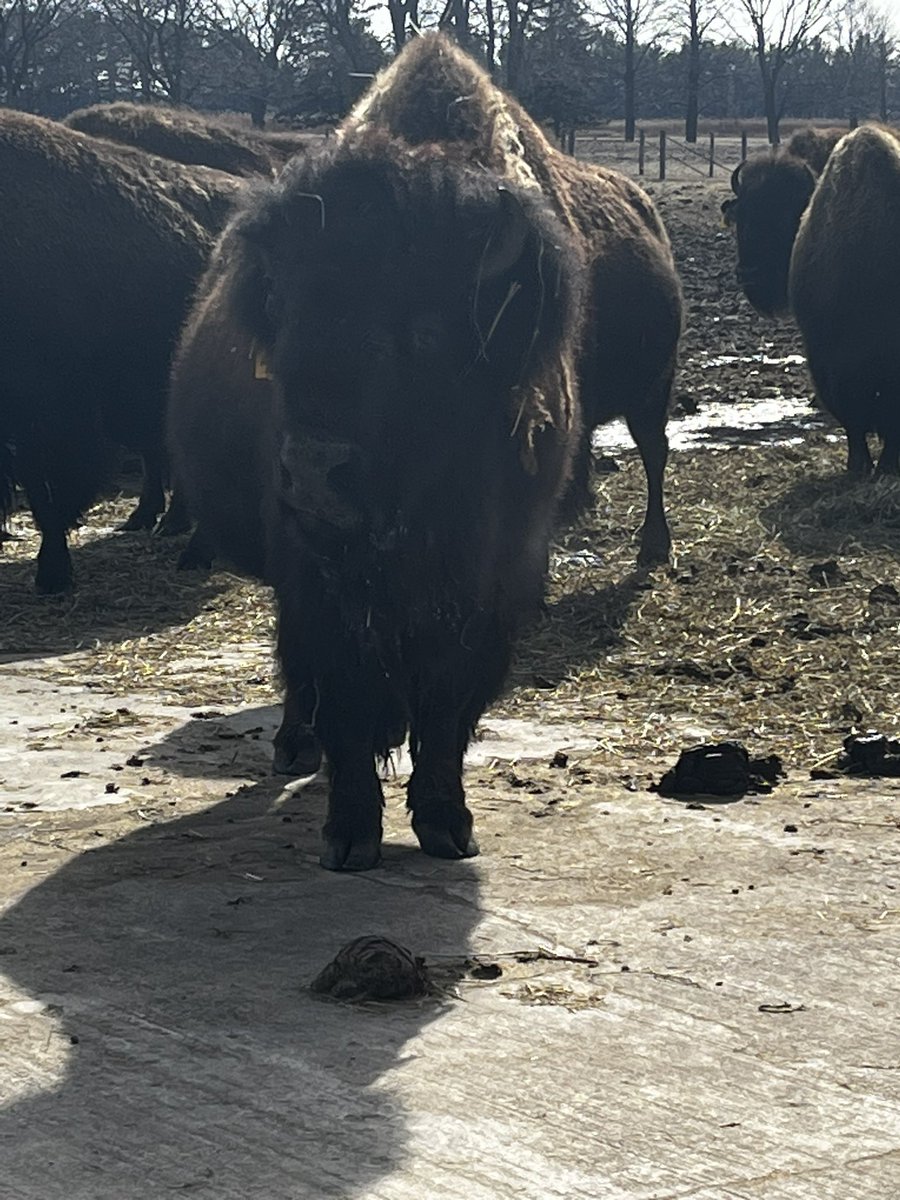 Elizabeth Mancilla tweet media