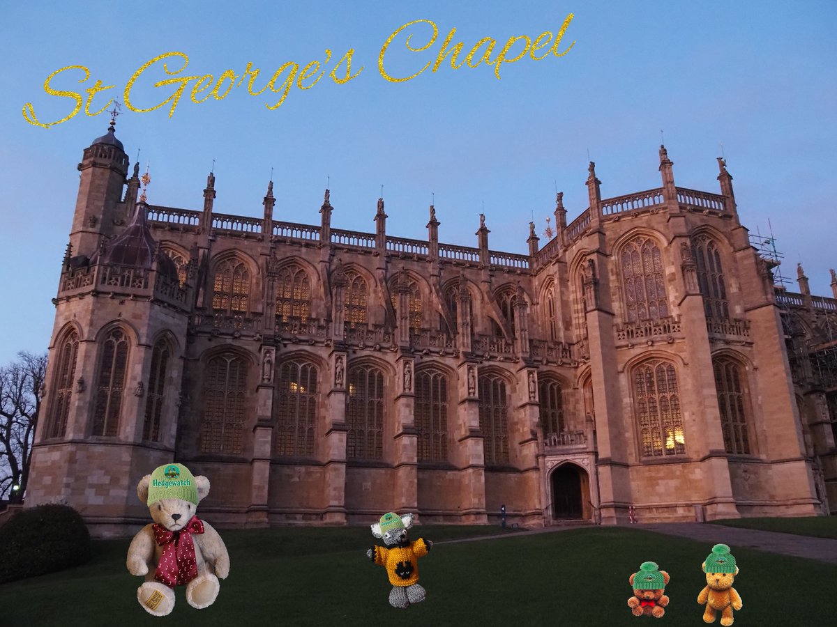 #Hedgewatch in the UK Winter Day 13 No.2 @Hedgewatchers @AlanSla90124663 @TheVicarageCat @MunchPudding @starbuckssue @Prinzi82548537 @GreenEtty Went to Windsor Castle🏰 Put my paws together in front of Queen ElizabethⅡ's grave at St George's Chapel🐾