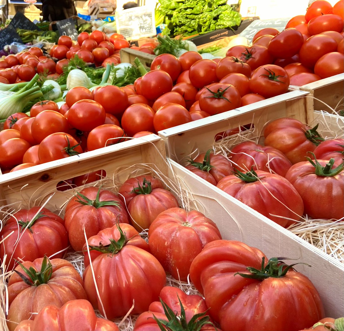 Please UK do not be hoodwinked by false information of bad weather across Europe for UK food shortages (no different to other winters!). Try the real fact that "Brexit" is the real issue. This mornings trip around a small market village in France.