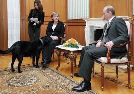 C’est en lisant « Le mage du Kremlin » que j’ai retrouvé cette anecdote. #Poutine savait que #Merkel avait peur des chiens. Lors d’un entretien au Kremlin (2007) il a fait entrer son labrador dans la pièce. La cruauté de l’homme ne peut être mieux définie. Étonnant, non ?