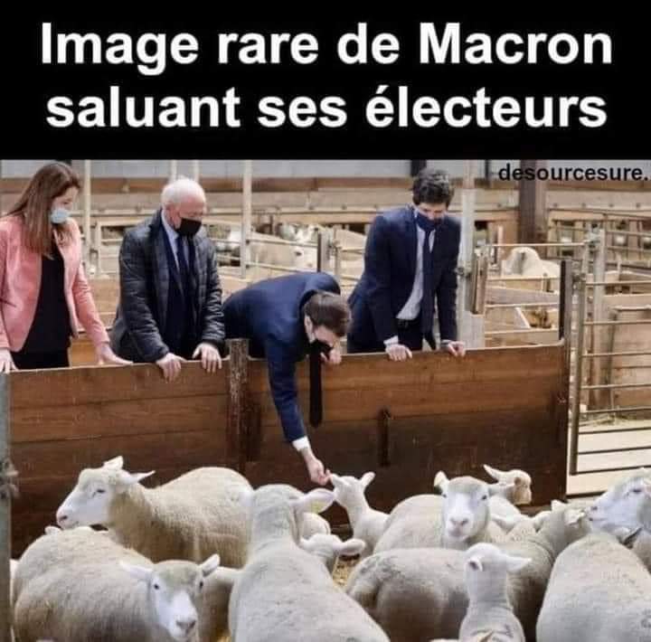 Emmanuel Macron au #Salonagriculture à #Paris  !!!!🤔🤔

#MacronDestitution #Macron
#Salondelagriculture