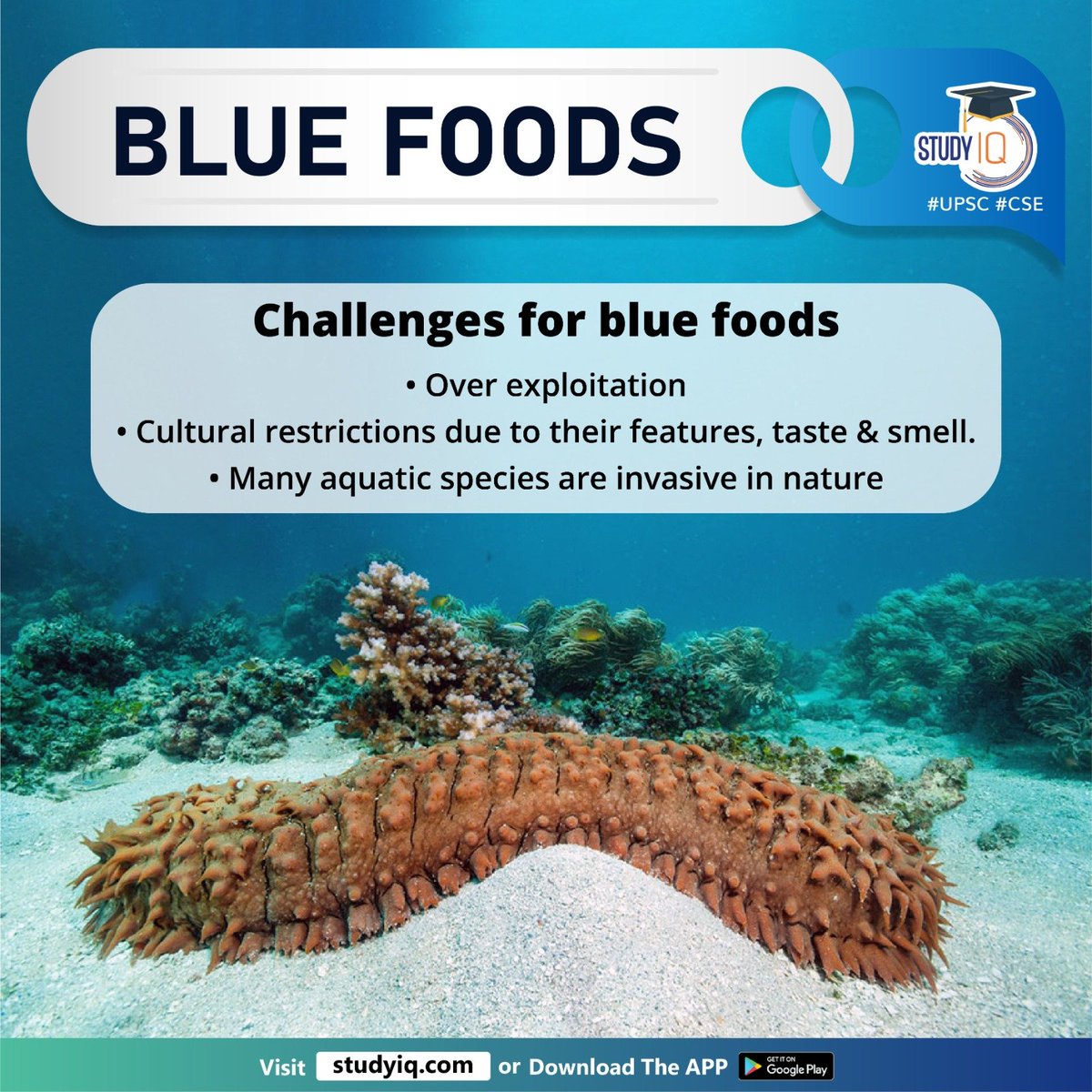 Blue Foods

#bluefoods #whyinnews #exportrevenue #india #ocean #lakes #river #marineanimals #plants #algae #seaweeds #seacucumber #bivalves #greenhousegas #nutrutionsource #climatechange #nationalrevenue #bluefoodfeatures #bluefoodsspecies #upsc #cse #ips #ias