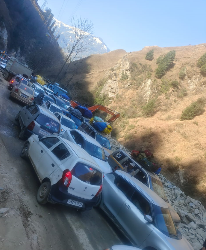 Mussarat Zia tweet media