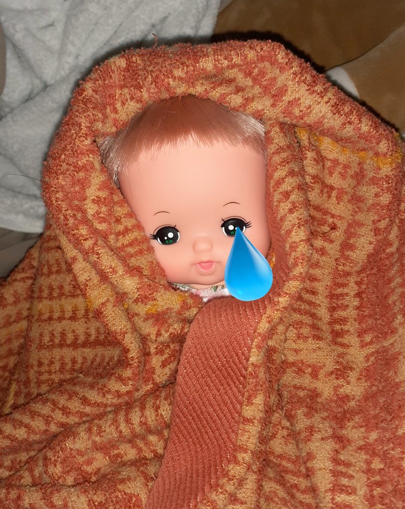 ちいちゃん １歳 (@c7becaau) on Twitter photo 