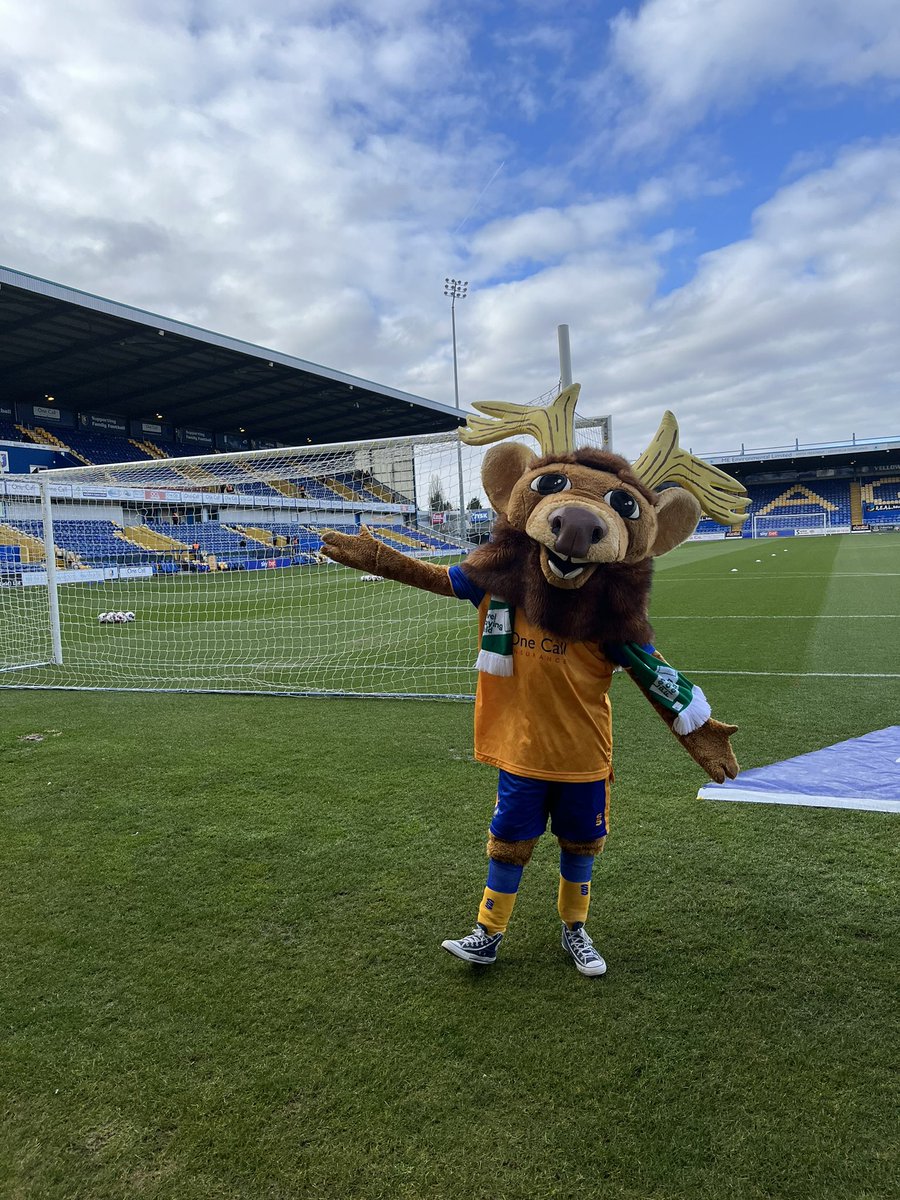 🏟️ Back at One Call Stadium today! 🟡🔵