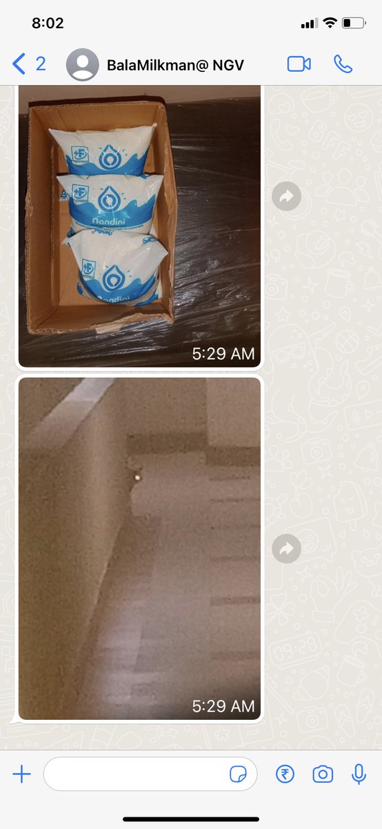 NCResq's tweet photo. Our milk man used to leave milk packets outside early in the morning but sometimes they were torn or leaking. He claims it’s a cat that’s doing it. So he’s started to take pictures of the milk he’s dropped off and any cats he sees near our apartment when he delivers milk  🐈 https://t.co/EbWsdhxbRP