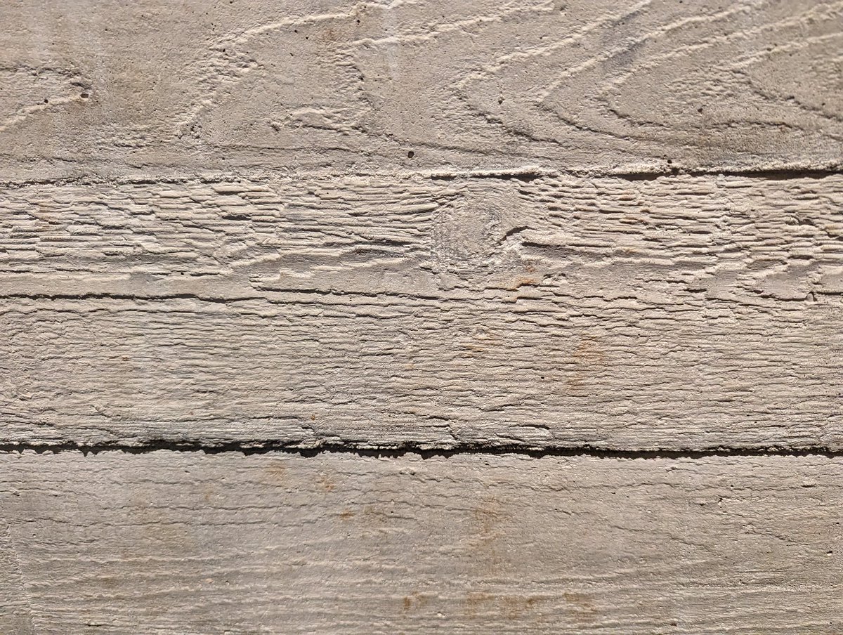 Municipal Dreams tweet media