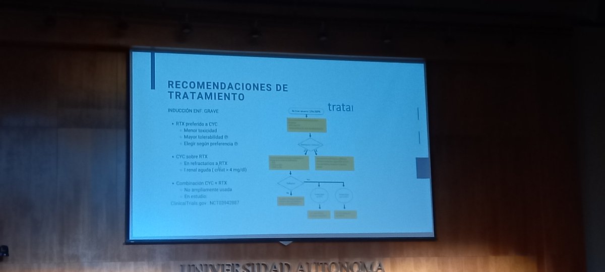 PacientesReumCL's tweet photo. Estamos en la actividad de @VasculitisChile sobre el Día de las Enfermedades Poco Frecuentes.
El doctor Francisco Silva, reumatólogo de @sochire muestra algunas recomendaciones de tratamiento para Vasculitis, incluyendo la perspectiva de pacientes. https://t.co/9uLpYLZxhW