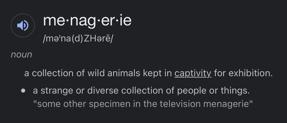Jelly Ia On Twitter the Meaning Of Menagerie jelly-ia-on-twitter-the-meaning-of-menagerie