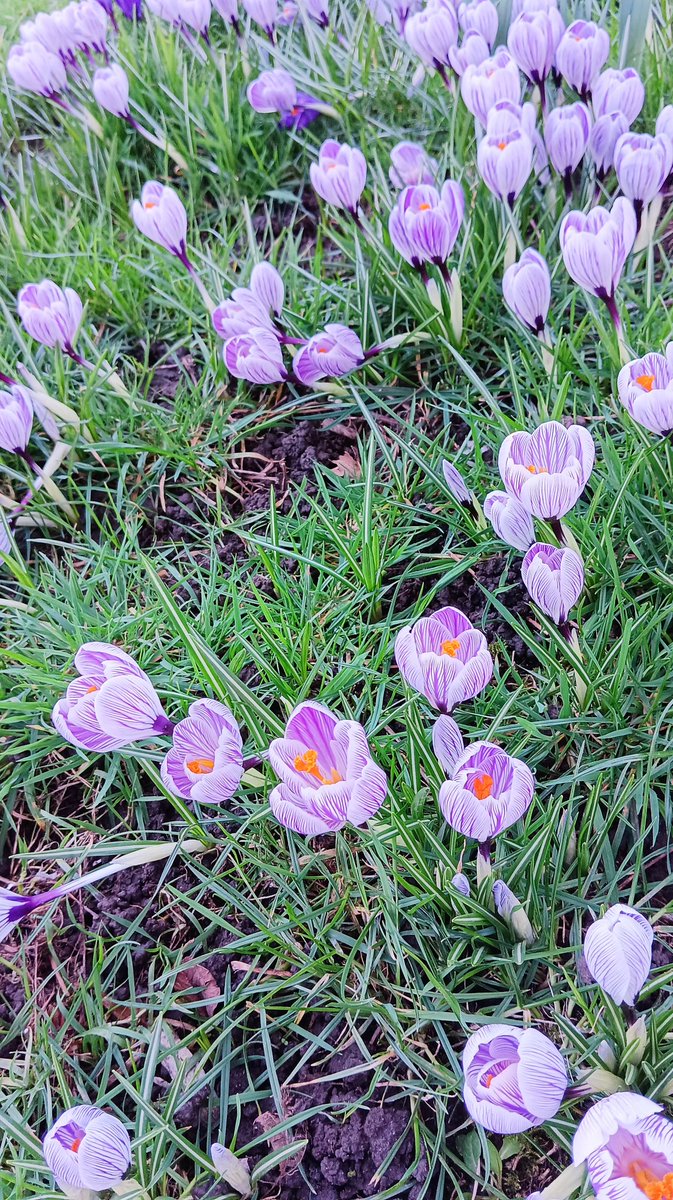 UntravelRoutes's tweet photo. It's a beautiful day ☀️ Sunshine coming your way!!! #blogger #adventurer #naturewalks #happiness #season #signsofchange #scotland 🏴 @VisitScotland @Nature @BBC_Travel https://t.co/4zhbLeu145