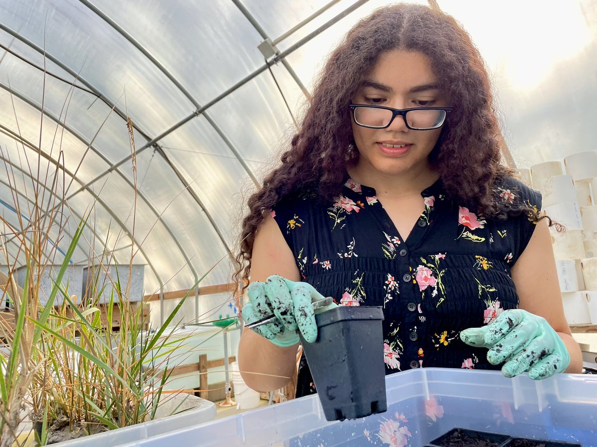 Grice Marine Lab tweet media