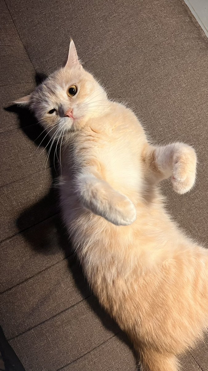 IMTAYBA's tweet photo. بسبوستي 🥹♥️♥️♥️♥️♥️ https://t.co/4uqD7S4bfQ