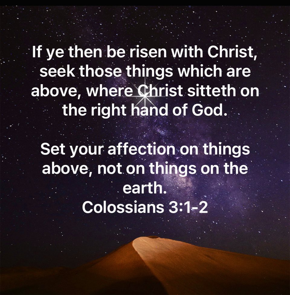GoodShepherd316's tweet photo. “while we look not at the things which are seen, but at the things which are not seen: for the things which are seen are temporal; but the things which are not seen are eternal.”
2 Corinthians 4:18 KJV https://t.co/m82nTljd8B