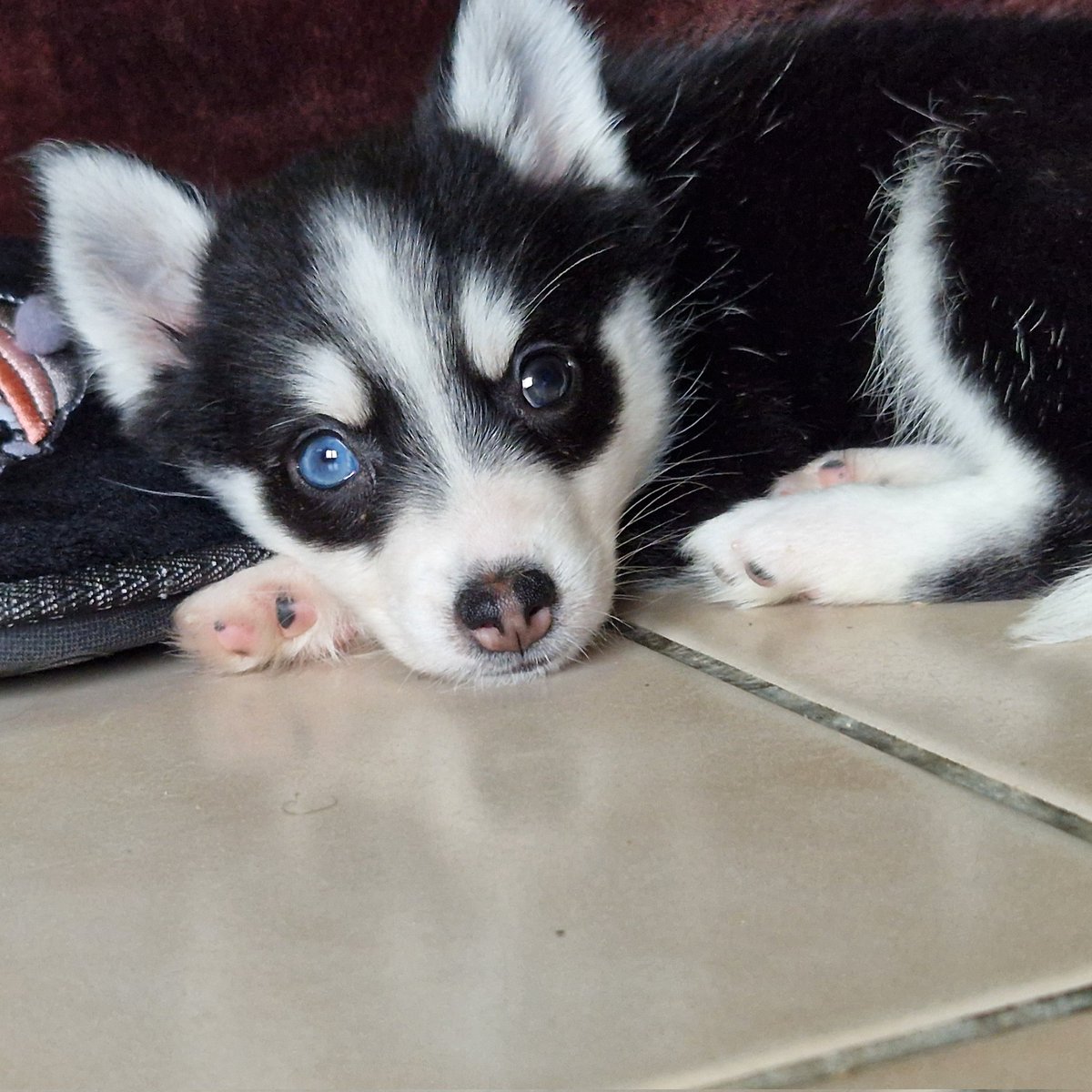 Kimalwe 🌸 tweet media