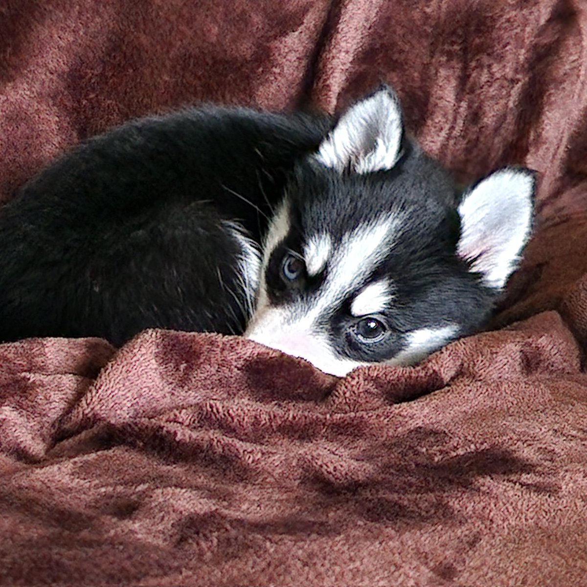 Kimalwe 🌸 tweet media