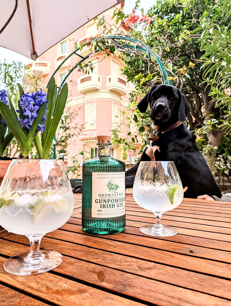 Dermot Mulhall (@dermotmulhall) on Twitter photo Pre gaming today's match in the South of France on this birthday weekend with his highness and then this, my god what a Gin! Thank you <a href="/SHEDDISTILLERY/">Patrick J Rigney</a> THANK YOU! <a href="/BrianRigney2/">Brian Rigney</a> Pre gaming today's match in the South of France on this birthday weekend with his highness and then this, my god what a Gin! Thank you <a href="/SHEDDISTILLERY/">Patrick J Rigney</a> THANK YOU! <a href="/BrianRigney2/">Brian Rigney</a>
