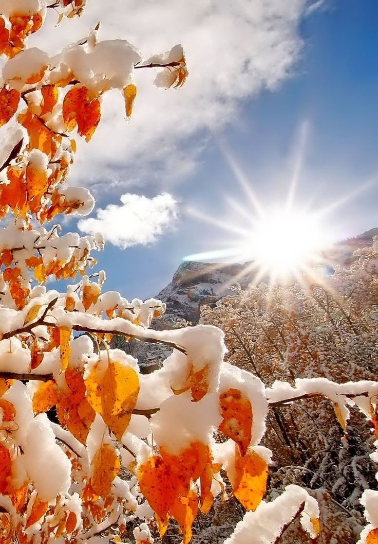 “What good is the warmth of summer, 
without the cold of winter to give it sweetness.”  
~ John Steinbeck

 :¨·.·¨:🍂
 `·. Love☀️🌺🌿🙏★°*ﾟ

#LightUpTheLove #nature #sunshine