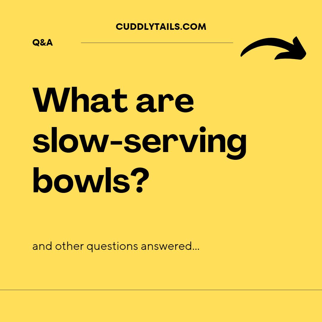 cuddlytailsnyc's tweet image. 1/2: Slow-serving bowls, Huskies, and Paws!🐾🐶

Swipe left to fill your vast knowledge about dogs with specially curated Q&amp;amp;A.

#dogsoftwitter #dogs #dogknowledge #doghealth #dogqna