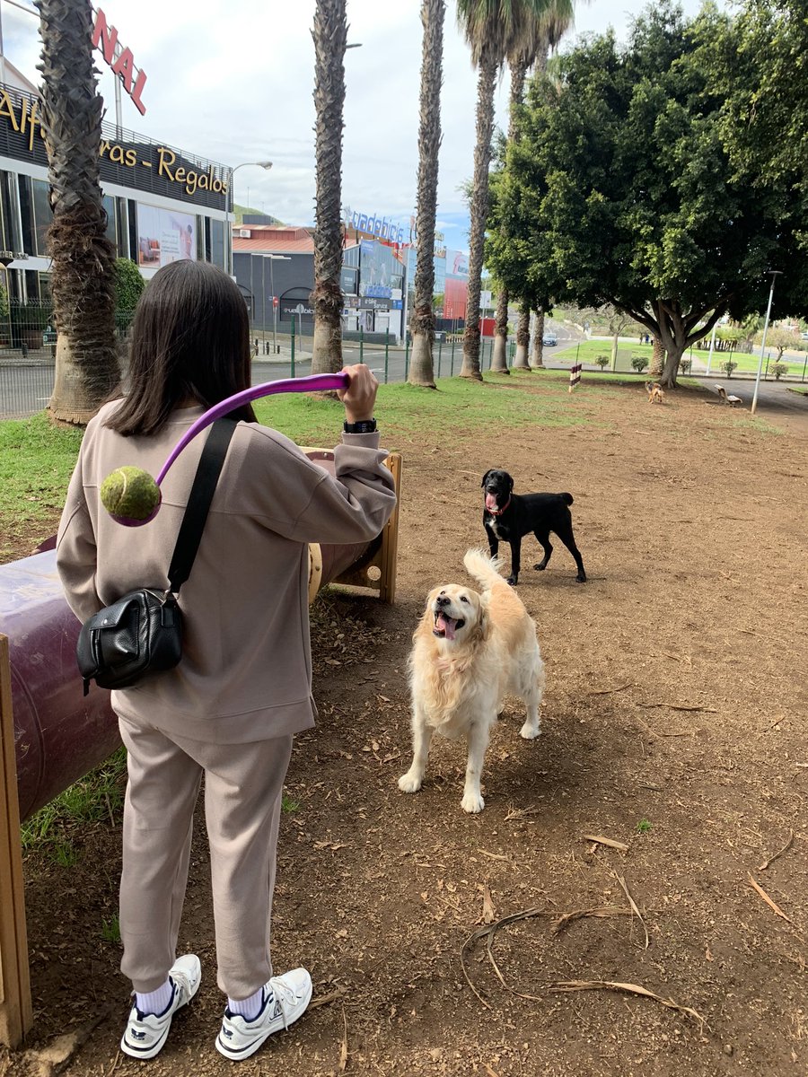 DemePL14's tweet photo. 🐶🎾 https://t.co/bHuWSDTLah
