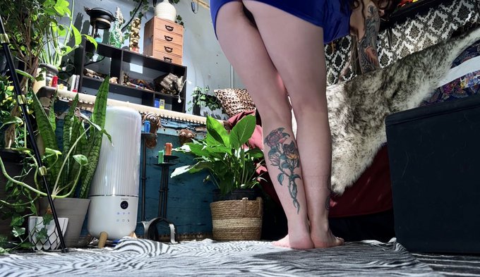 I call this below the scenes footage. 😂  Two new ways to enjoy my content: -Patreon for Giantess content<a href="/tag/linkinbio"class="tags"><span>#linkinbio</span></a><a href="/tag/linktree"class="tags"><span>#linktree</span></a>