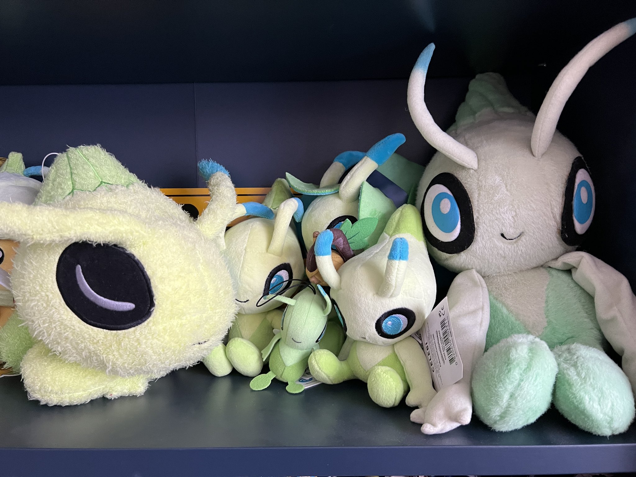 Joe Merrick on X PokemonNewsUK Here are some of my favourite plush from the collections. Big Celebi is from when Pokemon 4 Ever came out. Been with me ever since. PokemonDay https t ripnNMYdNz